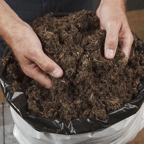 Premium Professional Compost - Image 3