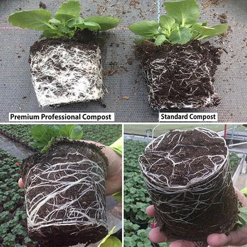 Premium Professional Compost - Image 6