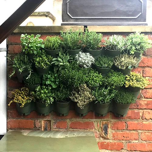 WonderWall Vertical Growing System - 4 Sections - Image 2