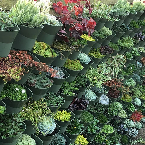 WonderWall Vertical Growing System - 4 Sections - Image 4