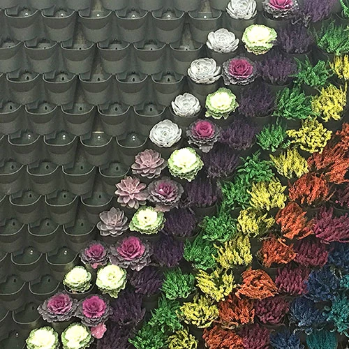 WonderWall Vertical Growing System - 4 Sections - Image 7