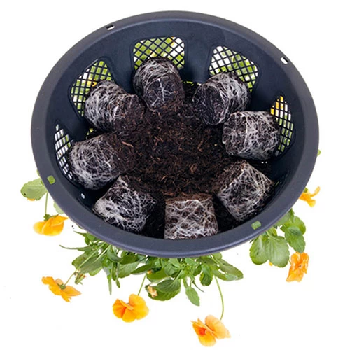 Easy Fill Hanging Baskets 38cm (15in) Pair - Image 5