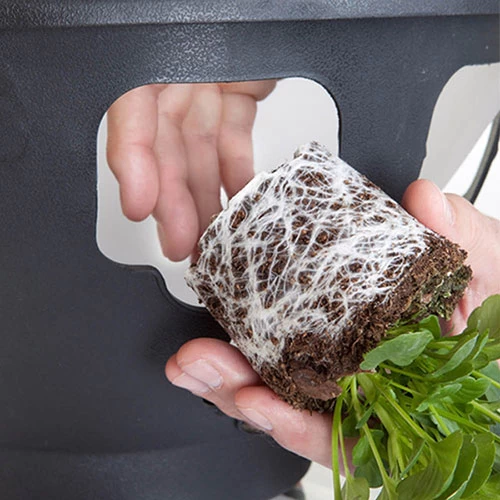 Easy Fill Hanging Baskets 38cm (15in) Pair - Image 7