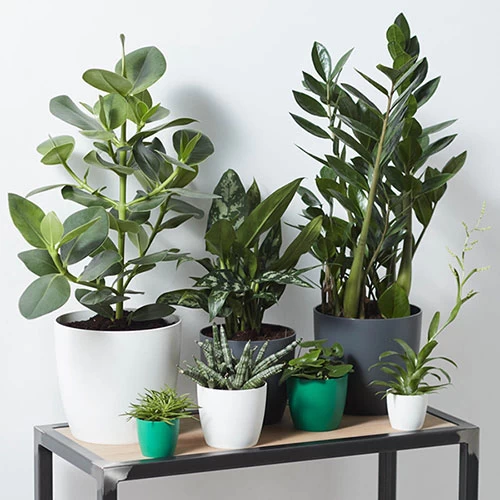 Houseplant Pot Cover 25cm-Anthracite - Image 2