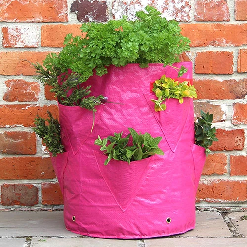 Strawberry And Herb Patio Planter Twin Pack - Image 3