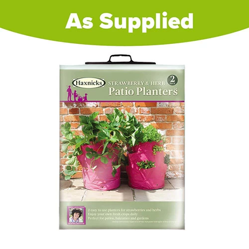 Strawberry And Herb Patio Planter Twin Pack - Image 5
