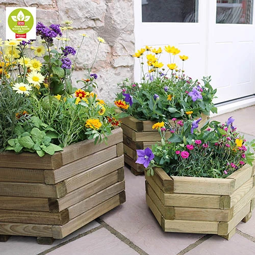 Marford Hexagonal Planter Set - Image 3
