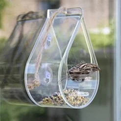 Dewdrop Window Feeder