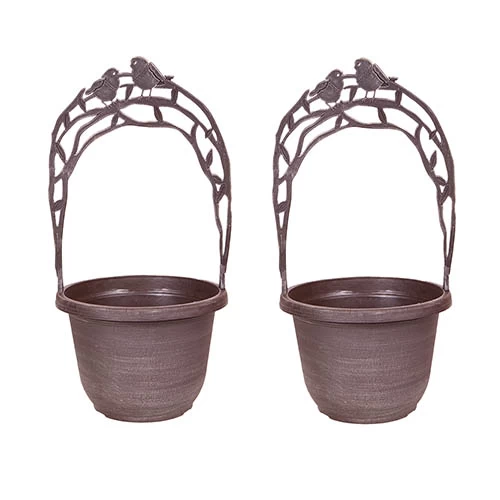 Narcissus 'T?te-?-T?te' Collection With Planters And Compost - Image 4