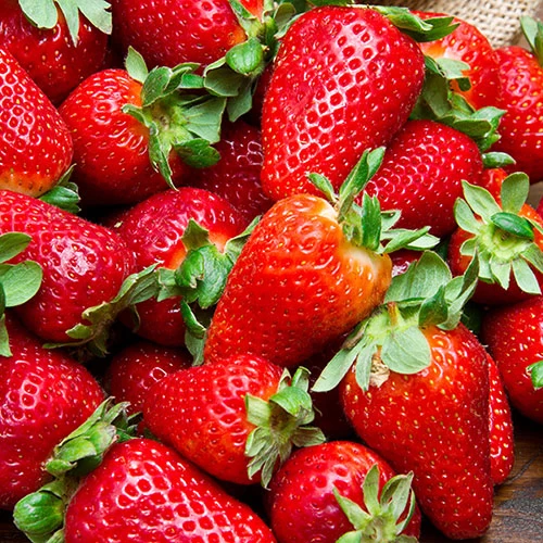 Everbearer Strawberry 'Sweet Summer' - Image 3