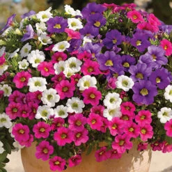 Trillion Bells Celebration Mix