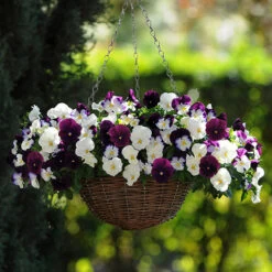 Preplanted 'Cool Wave Berries & Cream' Rattan Basket