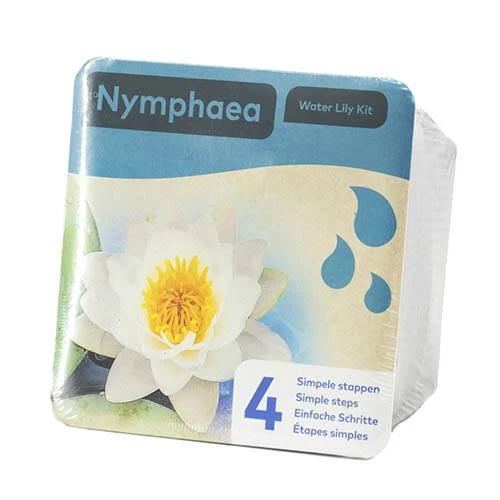 Water Lily Planting Kit - White - Image 3