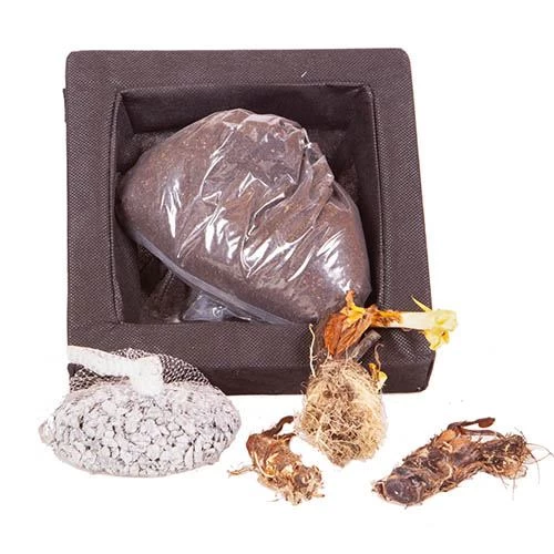 Floating Pond Plant Raft - Image 4