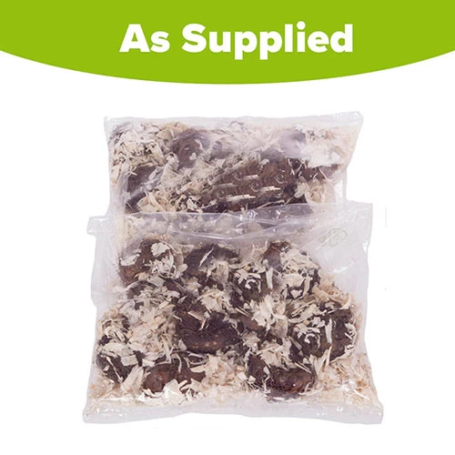 Belgian Giant Begonias - 10 Upright And 10 Trailers - Image 9