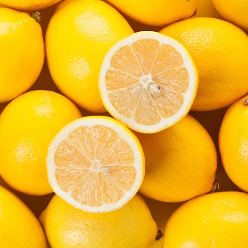 Pair Of Large Lemon Trees - Image 3