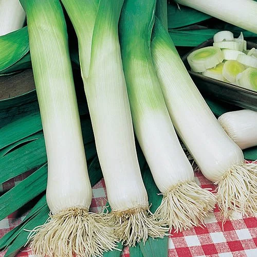 Greens Vegetable Seed Collection - Image 3