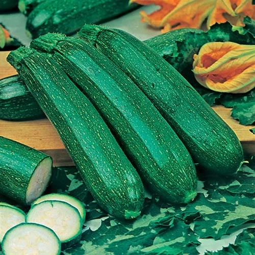 Greens Vegetable Seed Collection - Image 4